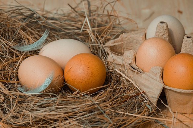 Vita chemical free: uova da pollaio.
